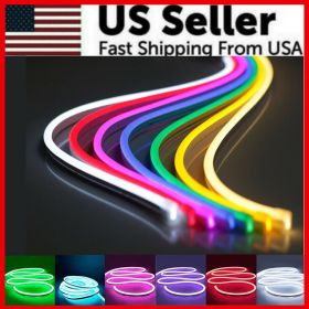 1M 2M 3M 5M 12V Flexible Sign Neon Lights Silicone Tube LED Strip Waterproof USA (Light Color: Warm White, Length: 5M - 16.4 FEET)